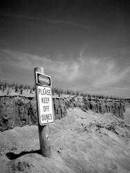 Sand Dunes