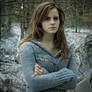 Hermione Granger Skywalker