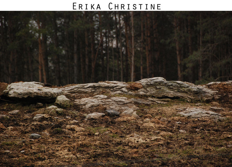 Landscape 1 by ErikaChristine