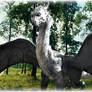 Umaroth Dragon of Vrael