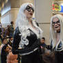 Megacon - Black Cats