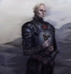 Brienne the Beauty