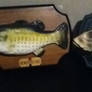 Big Mouth Billy Bass and Singing Boney Soul