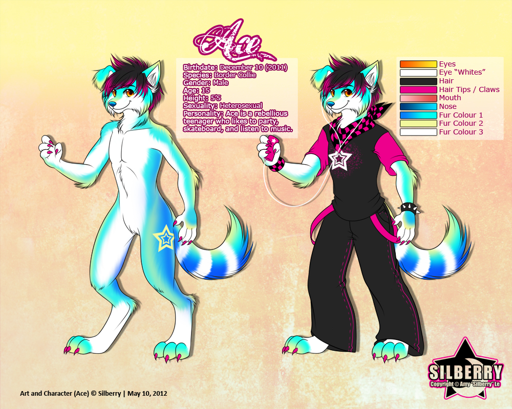 Reference Sheet: Ace