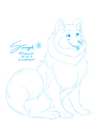 Doggust 2019 - Samoyed