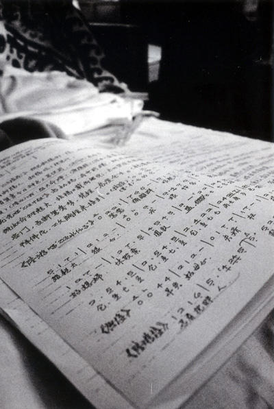 Chinese Opera - Script by stranger- on DeviantArt