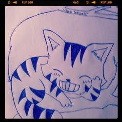 cheshire cat