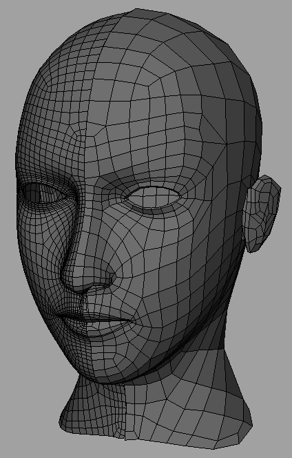 Female Face Topology