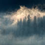 Morning Fog at Donner Lake