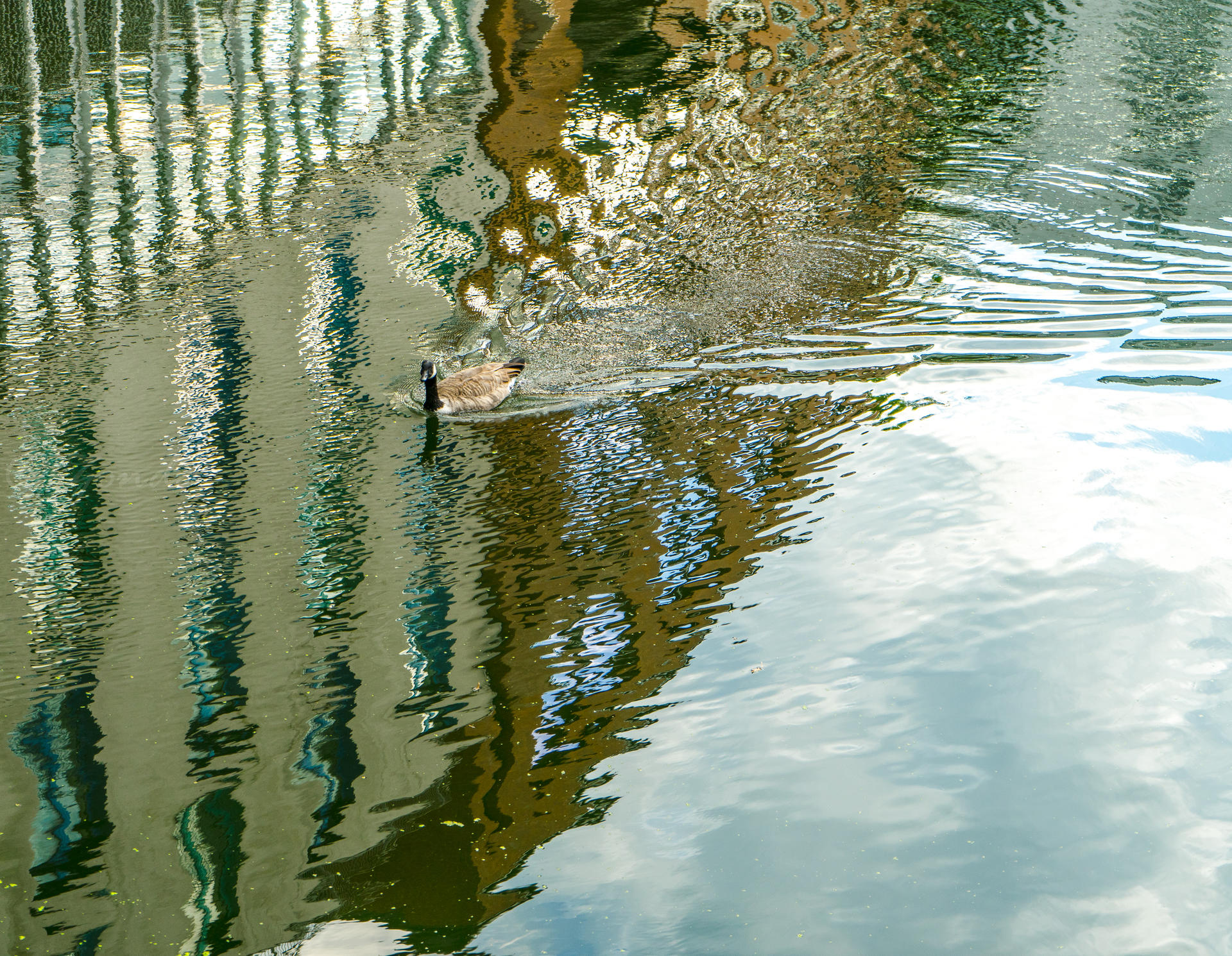 I Float by Zonda08 on DeviantArt