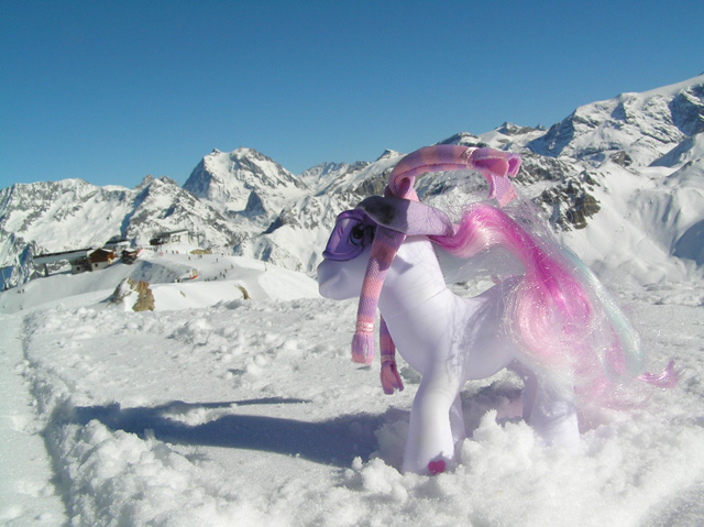 Ski Pony