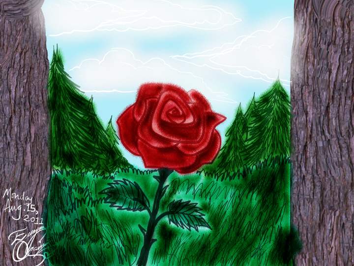 Lonely Forest Rose