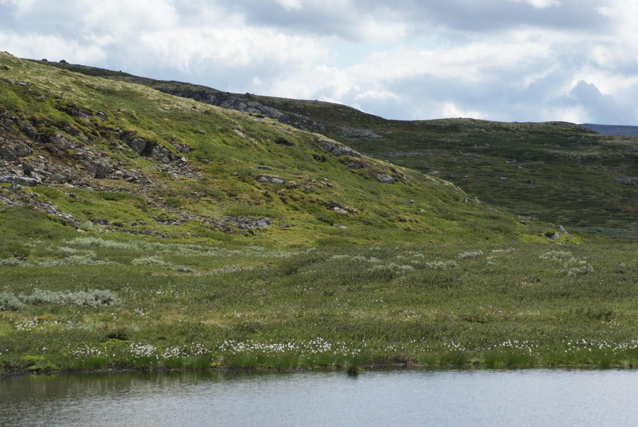 Mountain lake