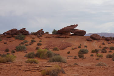 Canyon ground in Utah