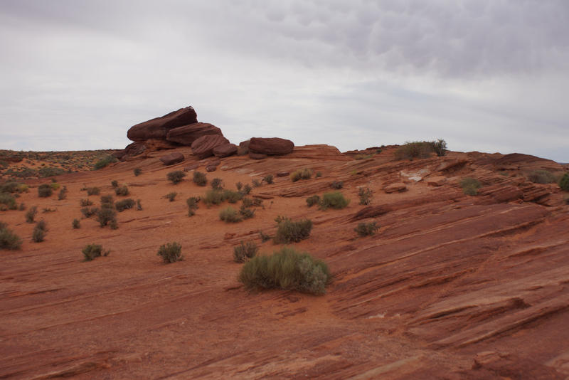 Canyon ground in Utah II by Seluias-stock