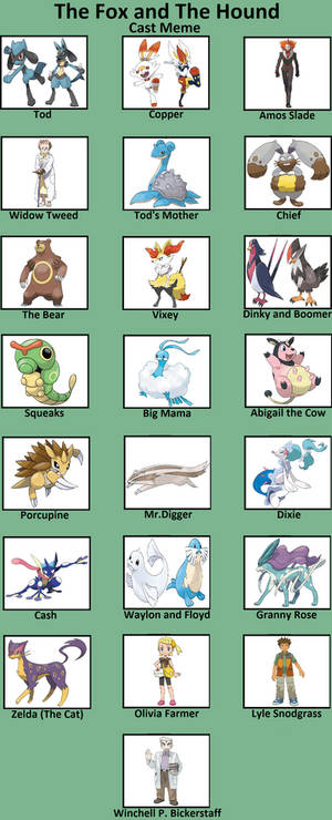 The Riolu and the Scorbunny