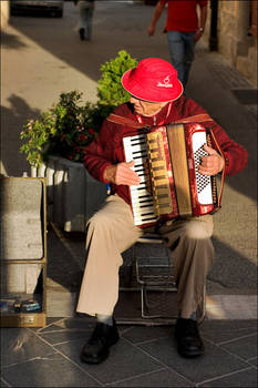 harmonika