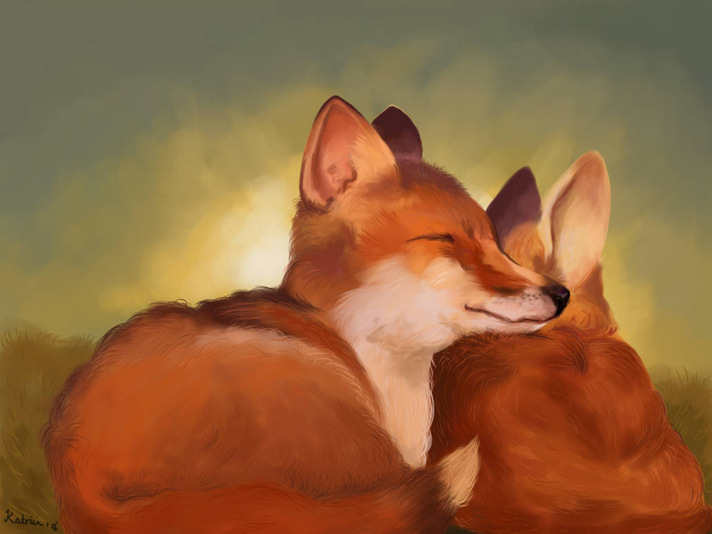 Deviantart Foxes Young foxes by DitBenIkke on DeviantArt
