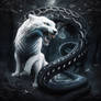 Arctic White Wolf and Black Rat Snake