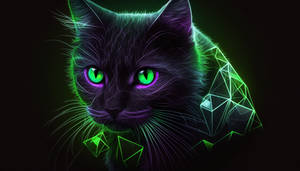 KasperZERO the Security Cat