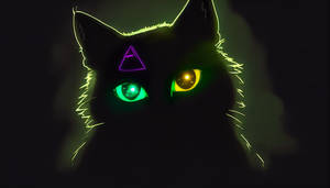 Kasper the Black Lonely Ghost Cat