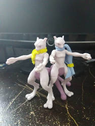 Newtwo and Mewtwo