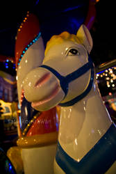 horse the merry go round