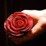 Preview: Beet Rose