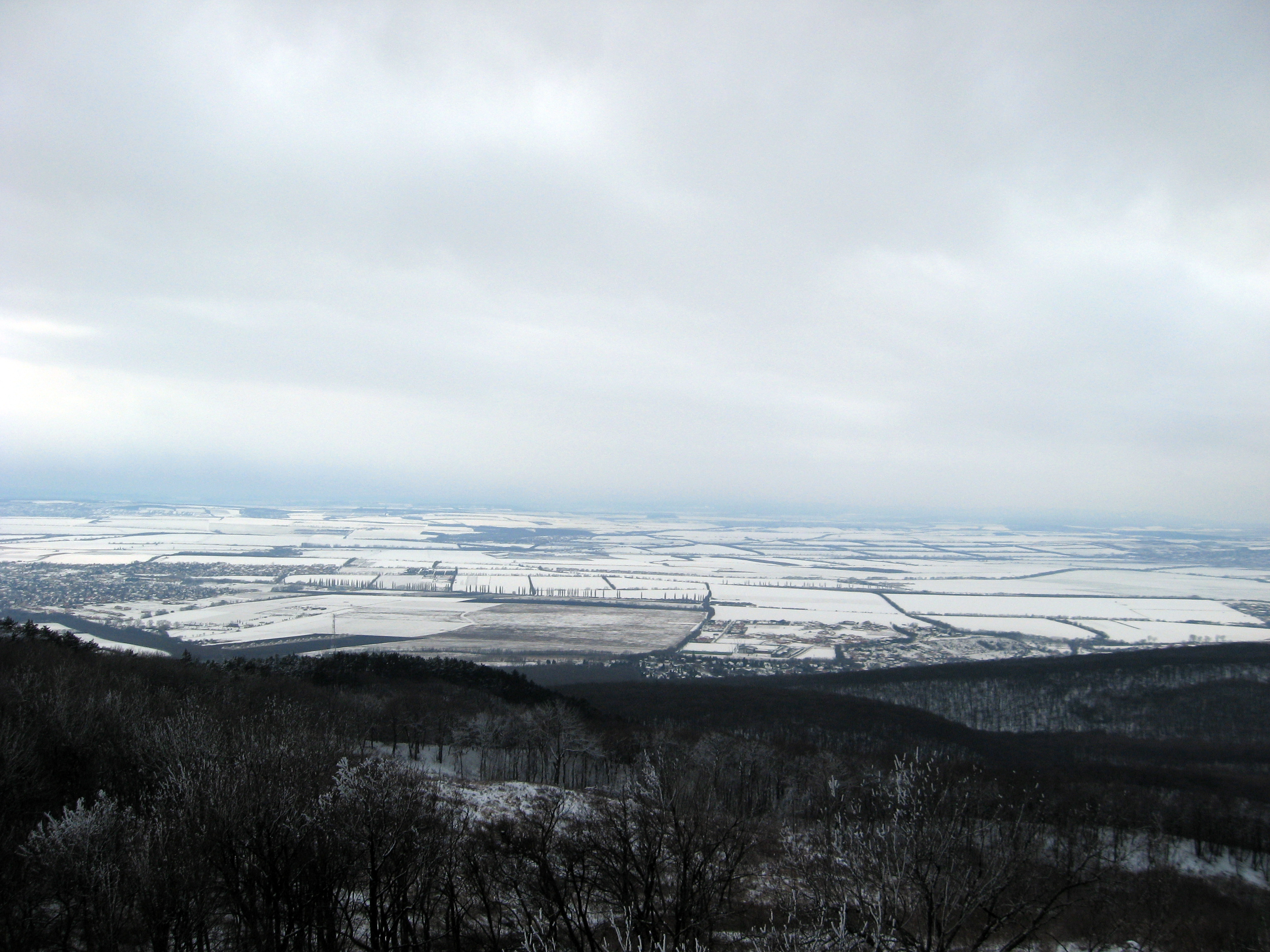 Winter Landscape