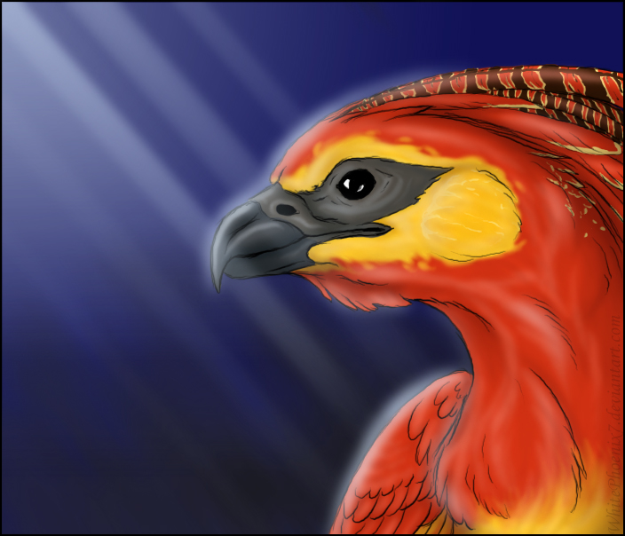 FA: Fawkes