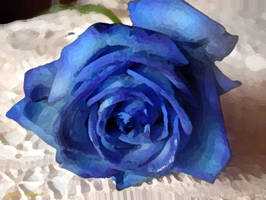 Blue Rose. . .