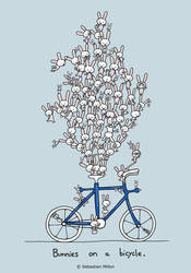 Bunnies on a bicycle