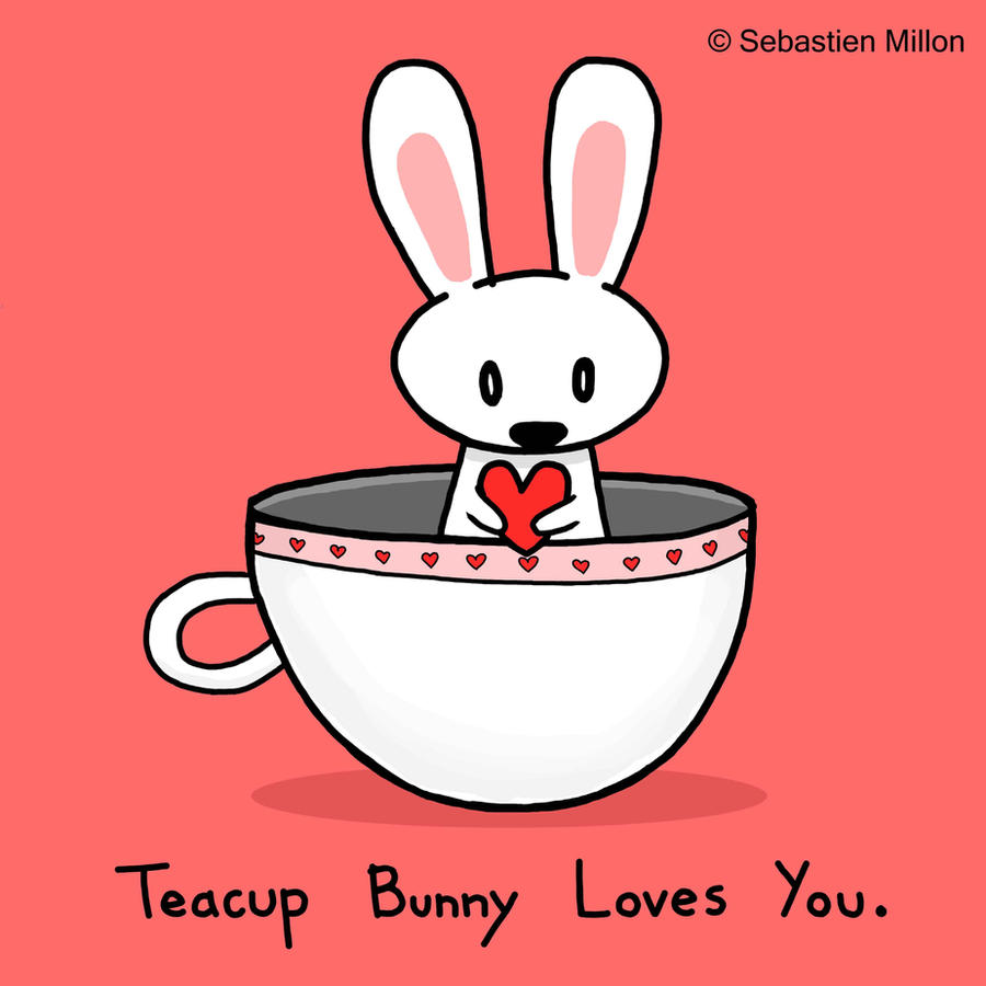 Teacup Bunny Loves You