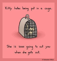 Kitty in a Cage