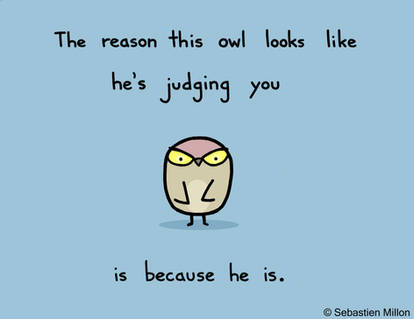 Judgemental Owl