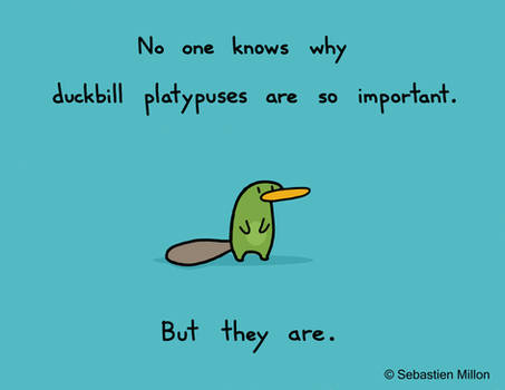 Duckbill Platypuses are Important