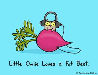 Little Owlie Loves a Fat Beet