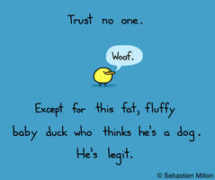 Trust No One