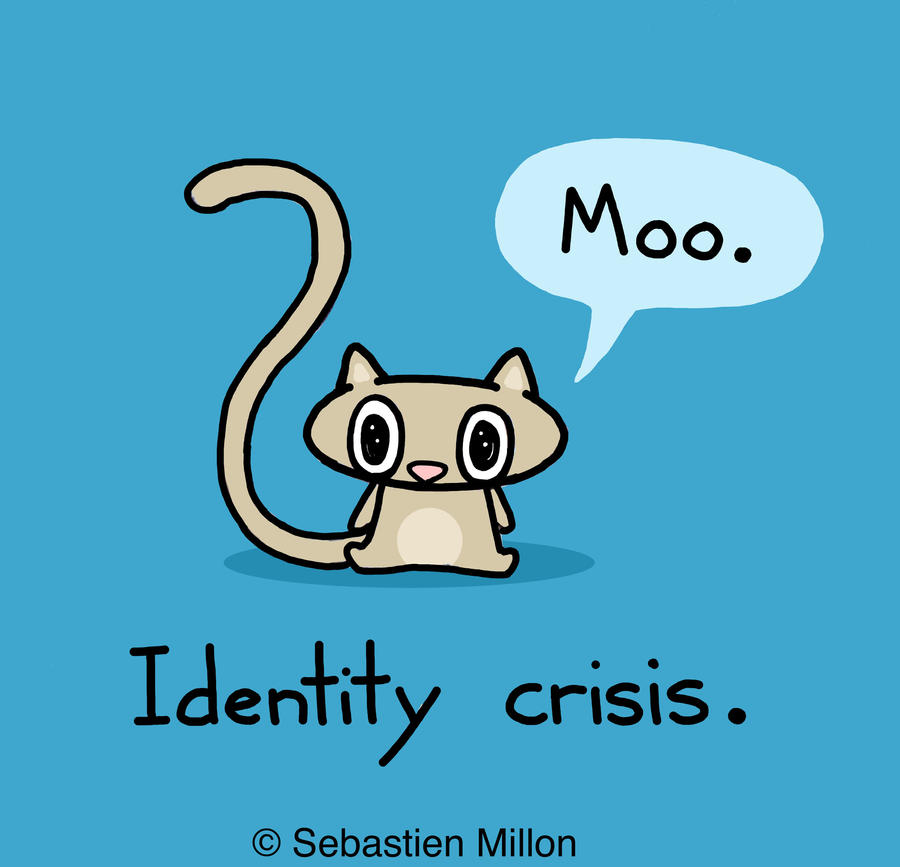 Identity Crisis Cat