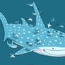 Whale Shark