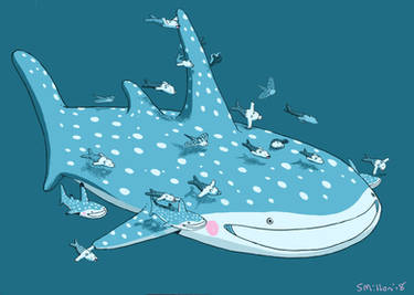 Whale Shark