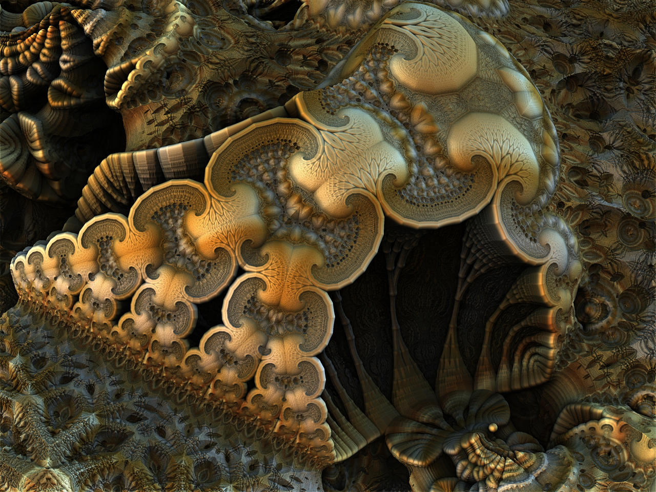 Expanding Shell by HalTenny on DeviantArt