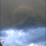 Skies Unaltered