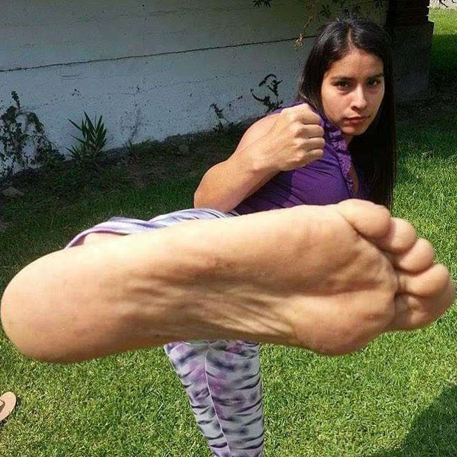 Woman Dropkick Woman kick by erwin945 on DeviantArt
