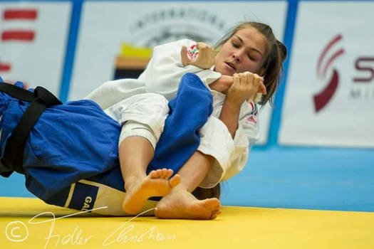 Judo fight 