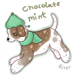 Chocolate Mint