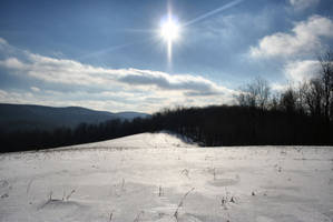 Field Covered in Snow stock