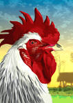 Ayam Berkokok Di Subuh Hari by WardaAbir