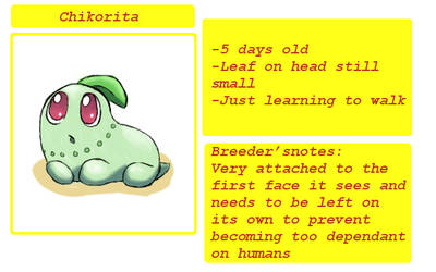 Chikorita 