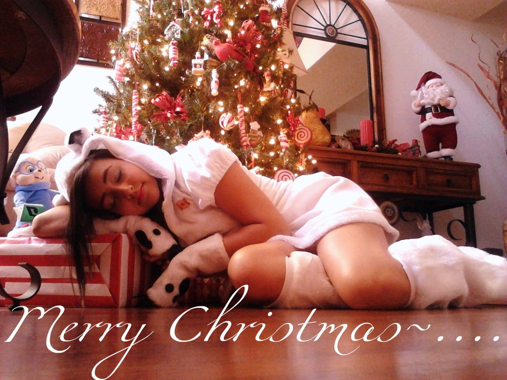 Polar bear Christmas~...